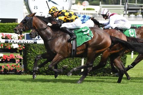 surround stakes